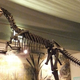 Image for article titled The first scientific name ever given to a dinosaur fossil? Scrotum humanum